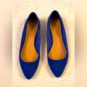 Women’s Royal Blue Suede Shoes